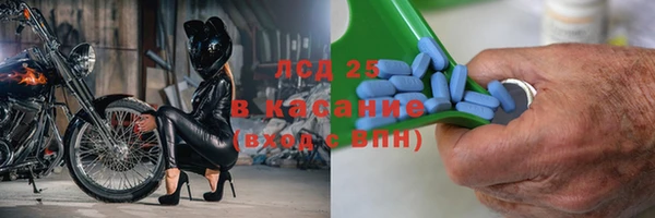 хмурый Гусь-Хрустальный