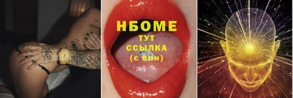 хмурый Гусь-Хрустальный