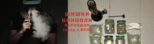 мдпв Горно-Алтайск