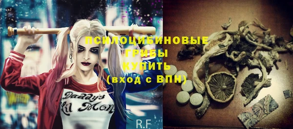 дурь Горнозаводск