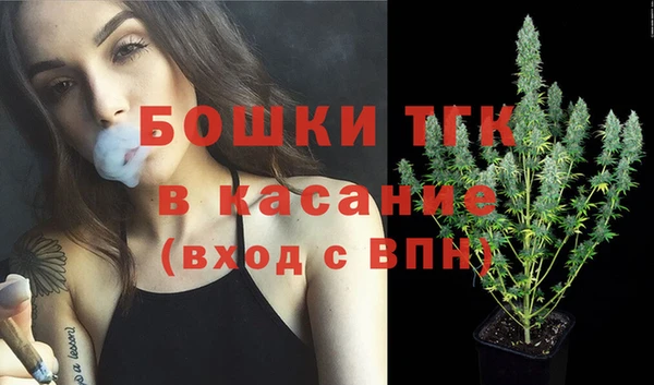 spice Гусев