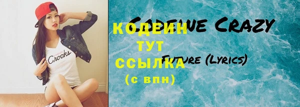 хмурый Гусь-Хрустальный