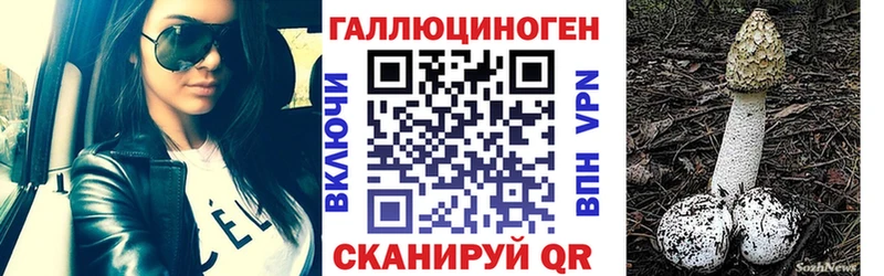 Псилоцибиновые грибы мицелий  Нея 