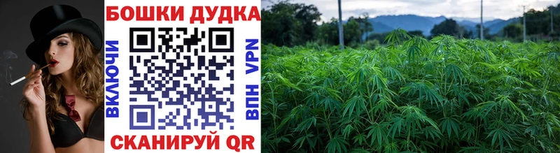 Бошки марихуана ГИДРОПОН  blacksprut онион  Нея 